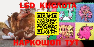 бошки Камышлов