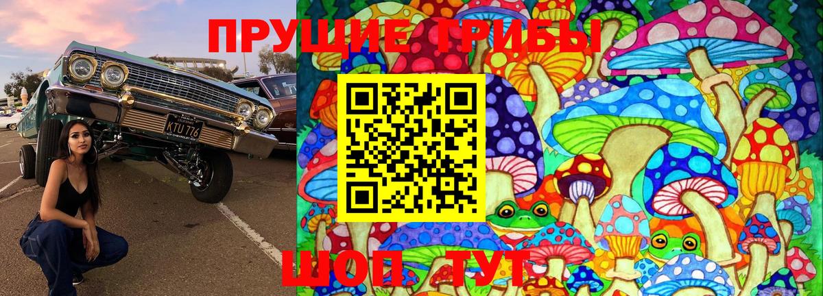 Псилоцибиновые грибы Psilocybine cubensis Лесозаводск