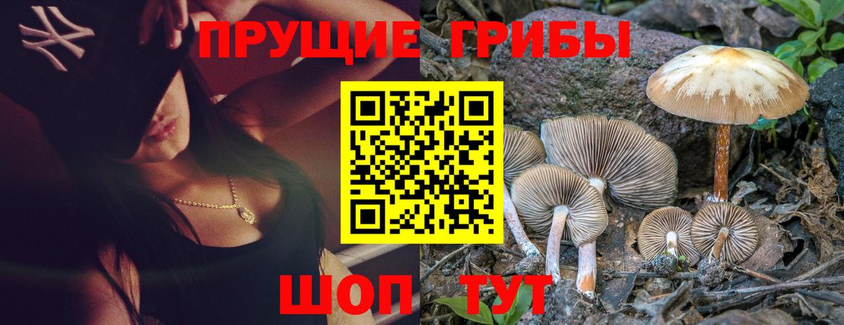 Псилоцибиновые грибы ЛСД  Вход с VPN  Галлюциногенные грибы MAGIC MUSHROOMS  Лесозаводск 